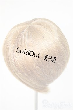 画像2: 8-9inch/ウィッグ/インチ　BJD　MJD　ドール用 A-25-10-22-382-NY-ZA