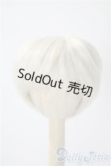 6-7inch/ウィッグ U-25-06-05-005-NY-ZU