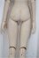 画像3: DDB/ベースボディ/BJD　球体関節人形 A-25-05-14-347-NY-ZA (3)