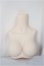 画像1: MDD/上半身パーツ/BJD　球体関節人形 A-25-05-14-323-NY-ZA (1)