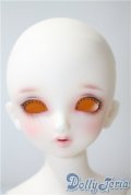 SDM/F-33:コーディネートモデル U-25-05-20-213-NY-ZU