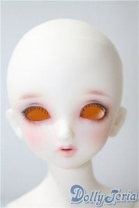 SDM/F-33:コーディネートモデル U-25-05-20-213-NY-ZU