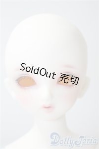 SDM/F-33:コーディネートモデル U-25-05-20-213-NY-ZU