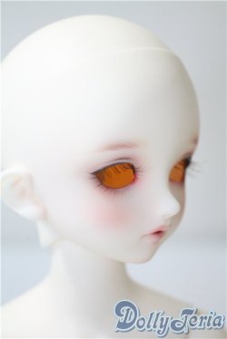画像2: SDM/F-33:コーディネートモデル U-25-05-20-213-NY-ZU