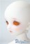 画像3: SDM/F-33:コーディネートモデル U-25-05-20-213-NY-ZU