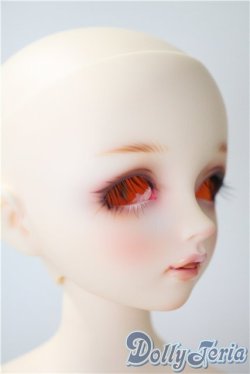 画像2: SDM女の子/F-61　コーディネートモデル U-25-05-20-215-NY-ZU