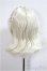 画像2: 6inch/ウィッグ/インチ　BJD　MJD　ドール用 A-25-05-28-242-NY-ZA (2)