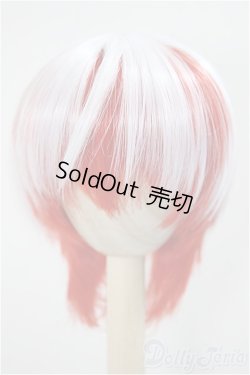 画像1: 8-9inch/ウィッグ/インチ　BJD　MJD　ドール用 A-25-05-21-276-NY-ZA