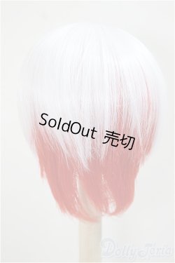 画像2: 8-9inch/ウィッグ/インチ　BJD　MJD　ドール用 A-25-05-21-276-NY-ZA