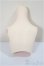 画像2: MDD/上半身パーツ/BJD　球体関節人形 A-25-06-04-188-NY-ZA (2)