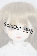 ROSEN LIED/Holiday's Child Limited Basic Joy/BJD　球体関節人形 A-25-05-21-209-NY-ZA