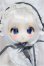 画像1: TinyFox /狐狐神?夢神 フィフレ/BJD　球体関節人形 A-25-05-21-203-KD-ZA (1)