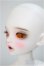 画像3: ChicaBi/Winnie baby/BJD　球体関節人形 A-25-05-21-307-NY-ZA