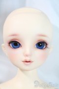 SDM/サキ　スタンダードモデル U-25-06-10-218-NY-ZU
