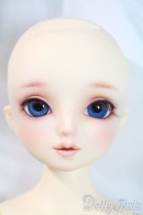SDM/サキ　スタンダードモデル U-25-06-10-218-NY-ZU
