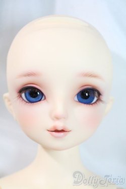 画像1: SDM/サキ　スタンダードモデル U-25-06-10-218-NY-ZU