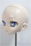 画像3: DD/DDH-10/カスタムヘッド/BJD　球体関節人形 A-25-05-28-117-NY-ZA (3)