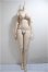 画像1: DDdy/ベースボディF3/BJD　球体関節人形 A-25-05-28-252-KD-ZA (1)