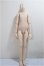 画像1: MDD/アセクシャルボディ：フレッシュ(DD-f3)/BJD　球体関節人形 A-25-05-28-256-KD-ZA (1)