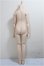 画像2: MDD/アセクシャルボディ：フレッシュ(DD-f3)/BJD　球体関節人形 A-25-05-28-256-KD-ZA (2)
