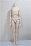 画像1: MDD/ベースボディ　男の子　(DD-f3)/BJD　球体関節人形 A-25-05-28-258-KD-ZA (1)
