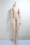 画像1: DDB/ベースボディF3　フレッシュ/BJD　球体関節人形 A-25-05-28-260-KD-ZA (1)