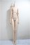 画像1: DDB/ベースボディF3　フレッシュ/BJD　球体関節人形 A-25-05-28-261-KD-ZA (1)