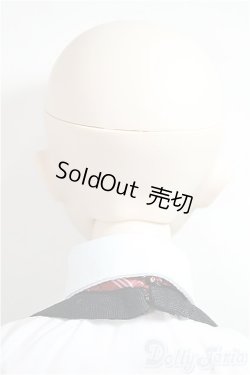 画像5: DDｄｙ/DDh-11　メイク：M01　D'COORD/BJD　球体関節人形 A-25-05-28-101-NY-ZA