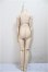 画像2: MDD/ベースボディIII/BJD　球体関節人形 A-25-05-28-107-NY-ZA (2)