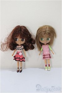 ドルチェナ２体/ A-25-05-28-206-NY-ZA