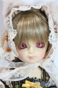 幼SD/たんぽぽ U-25-06-10-211-NY-ZU