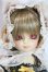 画像1: 幼SD/たんぽぽ U-25-06-10-211-NY-ZU (1)