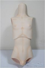 MDDサイズ/kakuso様製:男の子外皮パーツ上半身と下半身/ A-25-05-28-272-NY-ZA
