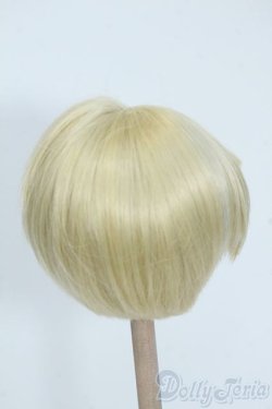 画像2: 8.5-9inch/ウィッグ Y-25-08-06-234-NY-ZY