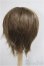 画像2: 9-10inch/ウィッグ/インチ　BJD　MJD　ドール用 A-25-05-28-400-KD-ZA (2)