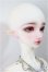 画像2: Angell Studio/Claudia/BJD　球体関節人形 A-25-06-04-400-NY-ZA (2)