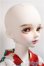 画像3: 【DOLK×MYOU DOLL】Delia - Literature Limited/BJD　球体関節人形 A-25-06-04-219-KD-ZA
