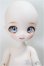画像1: puyoodoll/Baby　KUMAKO RURU /BJD　球体関節人形 A-25-06-04-216-NY-ZA (1)