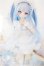 画像1: DDH-01 カスタムヘッド/RonshukaCouture様製　衣装・ウィッグ付き/BJD　球体関節人形 A-25-06-04-215-NY-ZA (1)