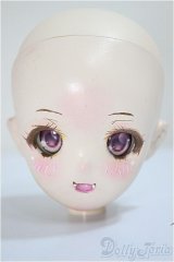DD/DDH-08:ヘッド/BJD　球体関節人形 A-25-06-04-260-NY-ZA