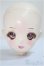 画像1: DD/DDH-08:ヘッド/BJD　球体関節人形 A-25-06-04-260-NY-ZA (1)