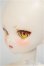 画像3: TinyFox/Anna　40ｃｍ/BJD　球体関節人形 A-25-06-04-255-NY-ZA