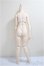 画像2: MDD/ベースボディ2.0/BJD　球体関節人形 A-25-06-04-251-NY-ZA (2)