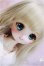 画像1: DDH-22/MAGIASEPTEGRAM様カスタム/BJD　球体関節人形 A-25-06-04-252-NY-ZA (1)