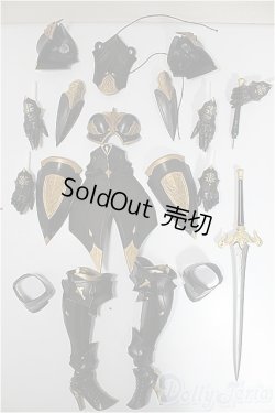 画像1: MDD/暗黒騎士セット/0 A-25-06-04-352-NY-ZA