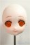 画像1: DDH-22/カスタムヘッド/BJD　球体関節人形 A-25-06-04-376-NY-ZA (1)