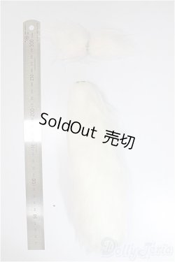 画像2: MDD/OF:狐耳・尻尾/0 A-25-06-11-247-NY-ZA