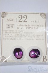 22mm/アニメアイ/ドール用　アイ A-25-06-11-177-NY-ZA