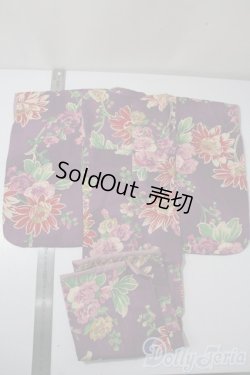 画像2: SD16/OF:衣装セット U-25-06-24-057-NY-ZU