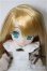 画像1: AZONE/1/12 Lil’Fairy(リルフェアリー) 〜ちいさな ちいさなお手伝いさん〜/ハーミア/0 A-25-06-11-112-NY-ZA (1)